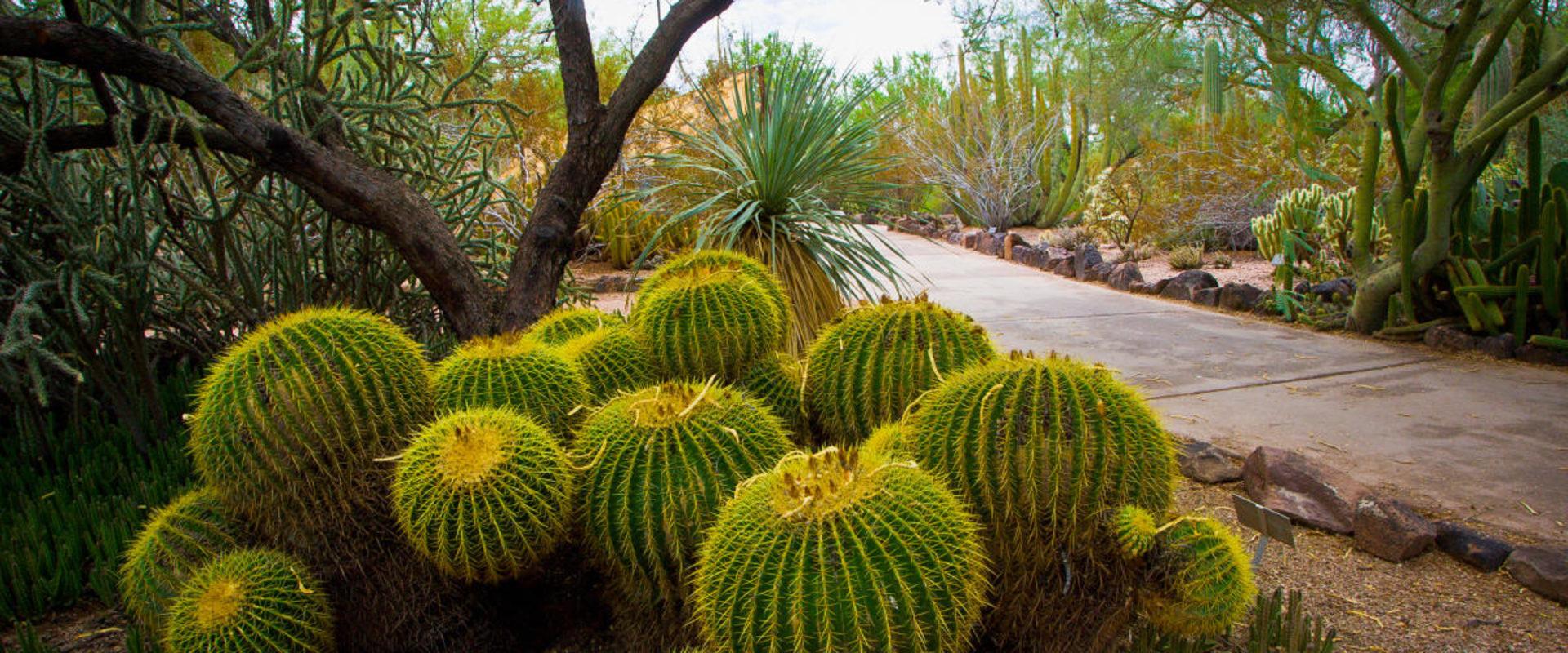 What is Chandler, Arizona Famous For?