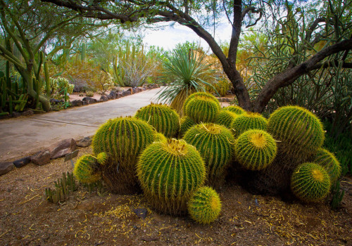 What is Chandler, Arizona Famous For?